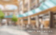 058106_伊勢崎市 商業施設