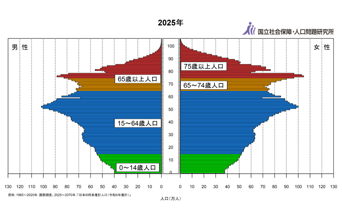 2025年の人口ピラミッド画像